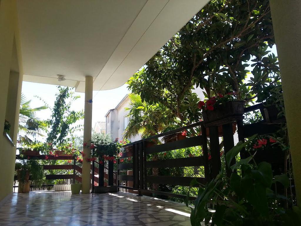 Apartment Perunika *